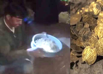 यहां है मुगलों का खजाना! बुरहानपुर के असीरगढ़ किले में सिक्के मिलने का दावा!