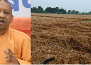 CM Yogi Adityanath gave these instructions regarding relief amount