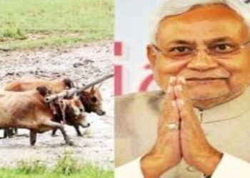 Nitish Kumar government of Bihar is preparing to compensate for the loss of crops