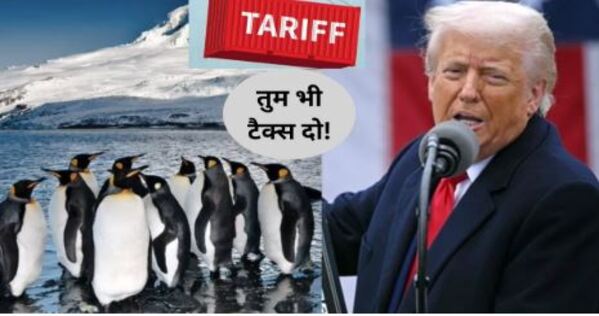 US President Donald Trump charges tariff on Antarctica Island
