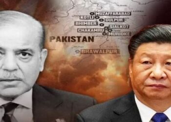 China left Pakistan after Indian surgical strike