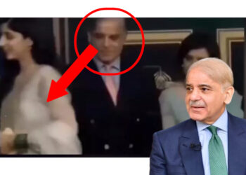 ‘नॉट सो शरीफ’: एक्ट्रेस मावरा को घूरते रहे पाकिस्तान के पीएम शहबाज, PM Shahbaz पुराना वीडियो अब हुआ वायरल