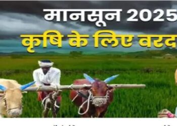 Monsoon has now gained full speed in India Farmers are happy