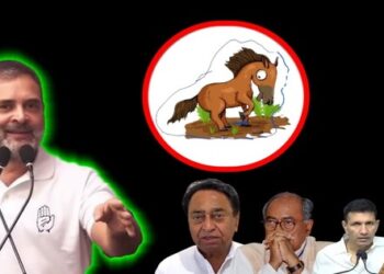 After Rahul Gandhi statement MP Congress organization is looking for lame horses