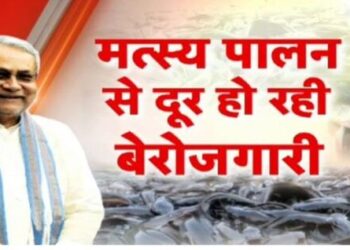 Employment boom in Bihar fisheries give new flight to entrepreneurship