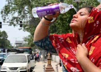 These days severe heat continues to wreak havoc in Delhi NCR as well as North West India