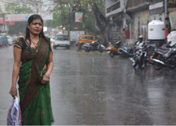 Weather News Heavy rain alert in Haryana IMD issued this warning