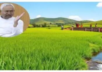 Bihar Assembly Election 2025