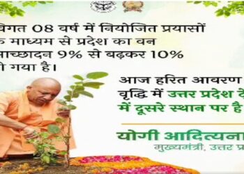 Ek Ped Maa Ke Naam Maha Abhiyan 2025 New initiative for greenery and environmental protection in Uttar Pradesh