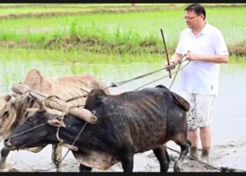 सीएम पुष्कर सिंह धामी का किसानी अंदाज…खेत में उतरे धामी ने की धान की रोपाई ..किसानों को दिया ये संदेश…