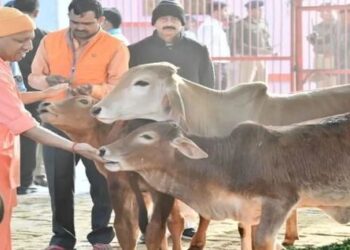 New direction to livestock development in Uttar Pradesh Yogi Adityanath inaugurated the workshop on development of animal breeds in India