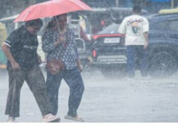 Southwest monsoon active in India Indian Meteorological Department IMD Heavy rains thunderstorms in many parts of the country from 1 to 6 July 2025