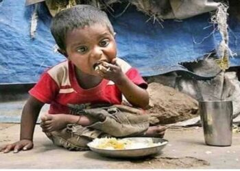 The Indian plate is changing know why the calorie content is decreasing