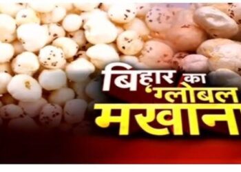 Bihar superfood Makhana has now got a new identity at the international level