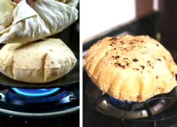 Wheat or Jowar Which roti on your plate is the real superfood Know the nutrition benefits and right choice