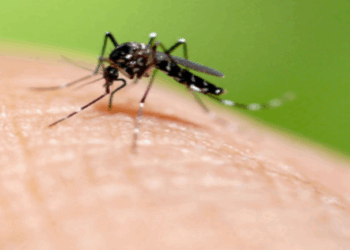 #Brazil opens mosquito super factory