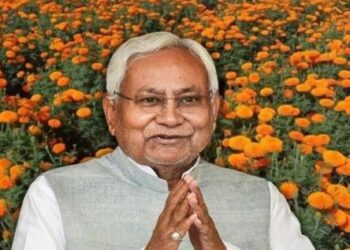 Farmers in Bihar can earn good profits by cultivating marigold flowers
