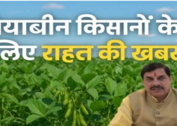 Good news for soybean farmers in Madhya Pradesh