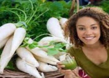 Eating radish will protect you from these five diseases Eat radishes in the right way every day