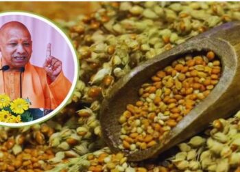 Government procurement of coarse grains for the Kharif marketing year 2025-26 in Lucknow Uttar Pradesh