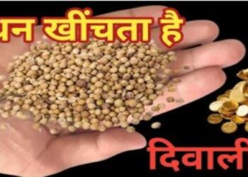 Why is coriander sprinkled on flower pots on Diwali night Learn the secret behind this tradition and its health benefits
