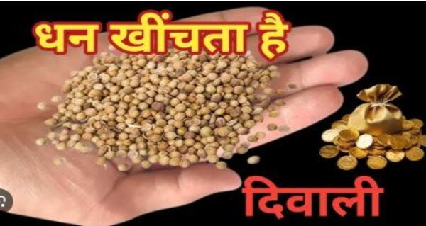 Why is coriander sprinkled on flower pots on Diwali night Learn the secret behind this tradition and its health benefits