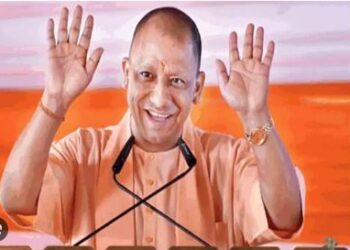 cm up yogi