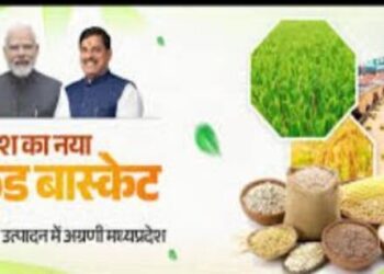 Madhya Pradesh becomes India food basket creates new history in agricultural development