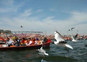 Siberian birds travel 14620 km to reach Sangam Prayagraj