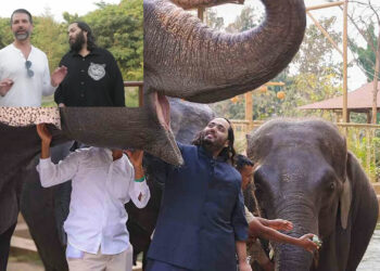 भारत यात्रा पर डोनाल्ड ट्रंप जूनियर: अनंत अंबानी से मुलाकात, वंतारा सेंटर की सराहना और ताजमहल का दीदार