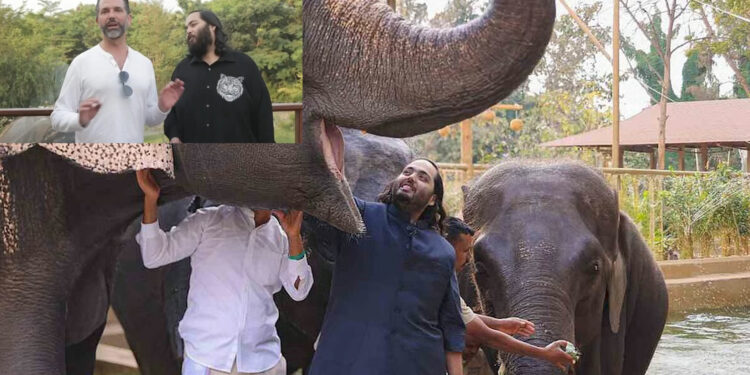 भारत यात्रा पर डोनाल्ड ट्रंप जूनियर: अनंत अंबानी से मुलाकात, वंतारा सेंटर की सराहना और ताजमहल का दीदार