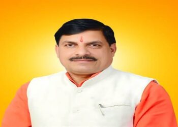 MP government report card