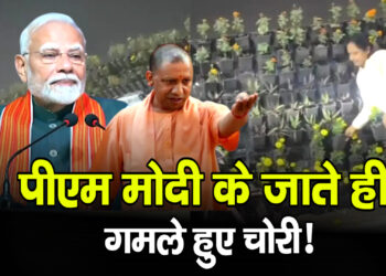 PM मोदी के कार्यक्रम के बाद लखनऊ में शर्मनाक तस्वीर, ग्रीन कॉरिडोर से गमले चोरी
