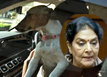 Winter Session of Parliament : संसद के शीतकालीन सत्र के पहले दिन ड्रामा—रेणुका चौधरी पालतू कुत्ते संग पहुंचीं, बयान पर बवाल