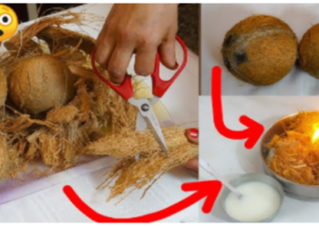 Ayurvedic recipe is becoming increasingly viral on social media and WhatsApp groups these days