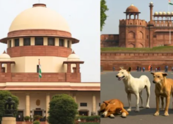 Supreme Court hearing on stray dogs did not order the removal of all stray dogs