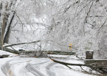 Bomb Cyclone wreaks havoc Heavy snowfall