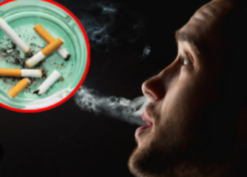 smoking cigarettes become more expensive from February 1st