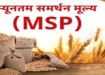 Minimum Support Price MSP system is expanding rapidly in India