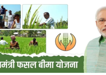 Pradhan Mantri Fasal Bima Yojana is increasing the income graph of farmers along with crop protection