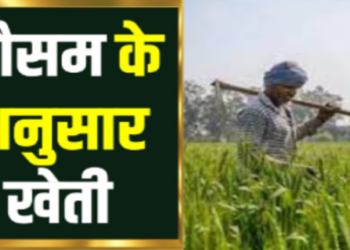 information related agriculture changes in weather