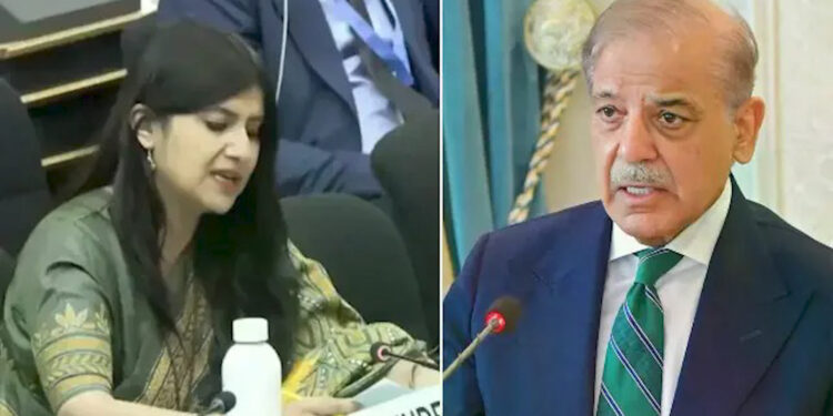 UNHRC में भारत का करारा पलटवार: कश्मीर पर झूठे आरोप लगाकर हकीकत से भाग रहा है पाकिस्तान