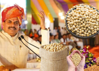 MP farmers: किसानों पर मेहरबान मोहन सरकार 10,520 करोड़ के कृषि प्रोजेक्ट्स को हरी झंडी, भगोरिया पर्व बनेगा राष्ट्रीय उत्सव
