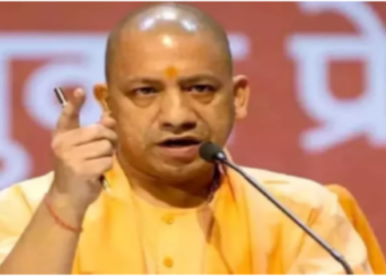 up New direction to industrial development and employment generation