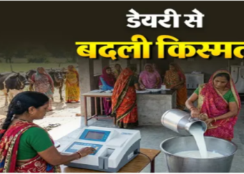 milk production Lakhpati Didi