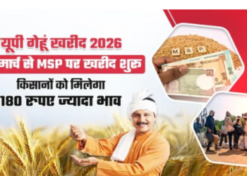 Farmer smiles return as MPS increases Direct benefit of 180 per quintal on wheat in UP