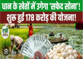 Chhattisgarh government