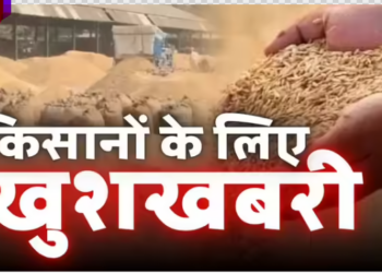 Wheat procurement dates set in Madhya Pradesh