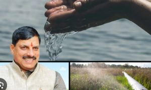 Chief Minister Mohan Yadav