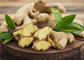 Assam Agriculture: असम के खेतों से लंदन तक खुशबू: जीआई टैग वाले कार्बी आंगलोंग अदरक की पहली खेप रवाना, किसानों के लिए खुले नए वैश्विक दरवाज़े